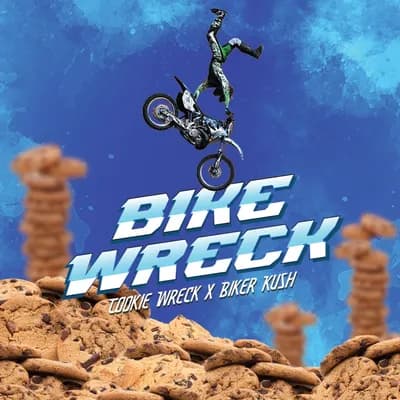Bike Wreck