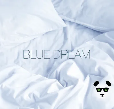 Blue Dream 1