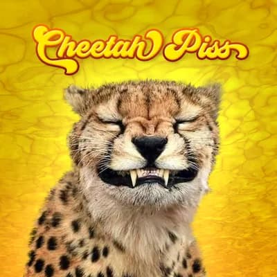 Cheetah Piss