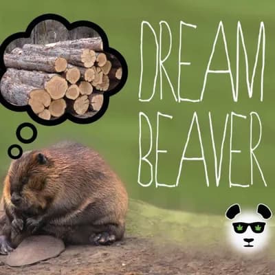 Dream Beaver