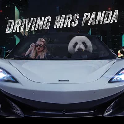 Driving Mrs Panda V2