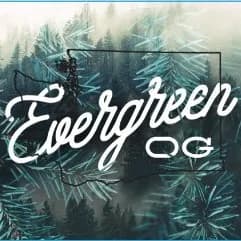 Evergreen Og