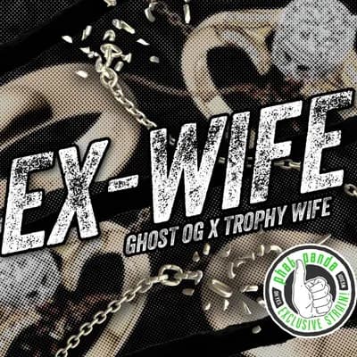 Ex Wife
