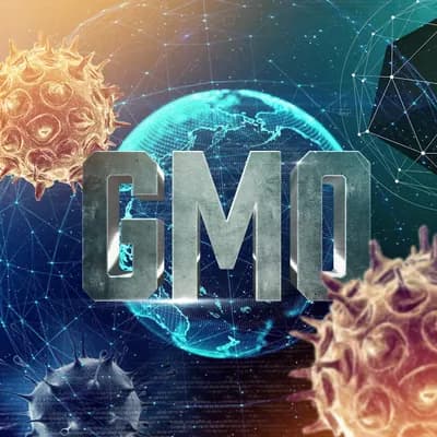 Gmo