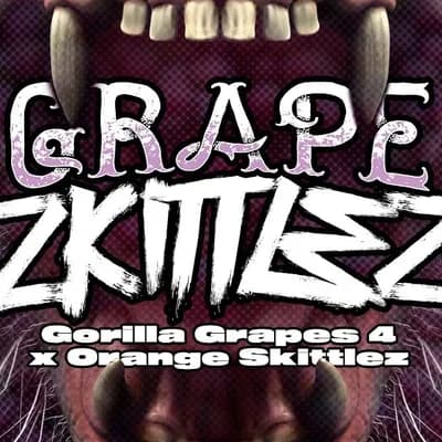 Grape Zkittlez