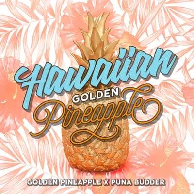Hawaiian Golden Pineapple