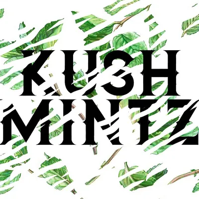 Kushmintz