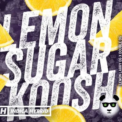 Lemon Sugar Koosh 1