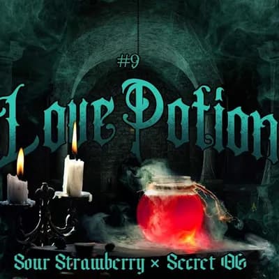 Love Potion