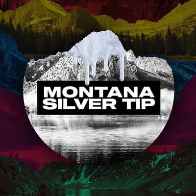 Montana Silver Tip