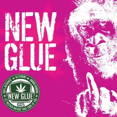Newglue Newseal