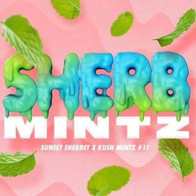 Sherb Mintz