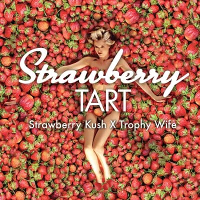 Strawberry Tart
