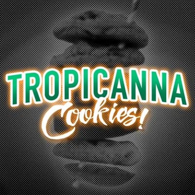 Tropicannacookies V3