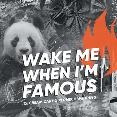 Wake Me When Im Famous