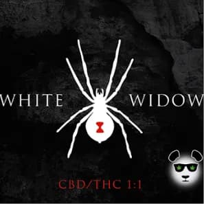 White Widow